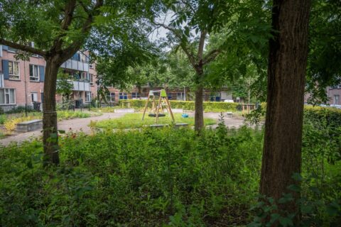 Foto van vergroend Peterplein met speeltuintje juli 2024