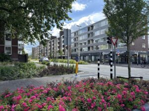 Beplanting en groenstrook in de Van Muijlwijkstraat